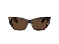 Tiffany Zonnebril TF 4230 84213G