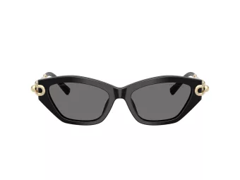 Tiffany Zonnebril TF 4231U 800181