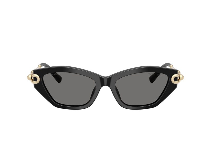 Tiffany Zonnebril TF 4231U 800181
