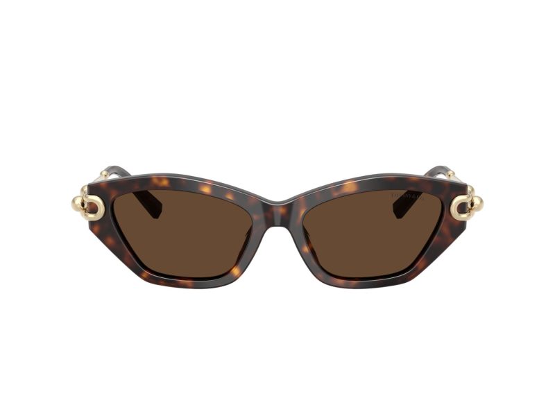 Tiffany Zonnebril TF 4231U 80153G