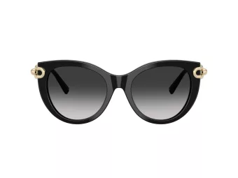 Tiffany Zonnebril TF 4232 80013C