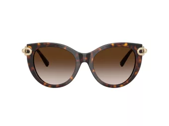 Tiffany Zonnebril TF 4232 80153B