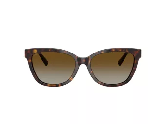 Tiffany Zonnebril TF 4237B 8015T5