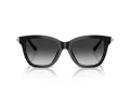 Tiffany Zonnebril TF 4241D 80013C