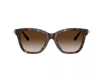 Tiffany Zonnebril TF 4241D 80153B