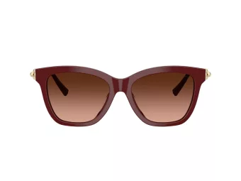 Tiffany Zonnebril TF 4241D 84395M