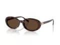 Tiffany Zonnebril TF 4242D 80153G