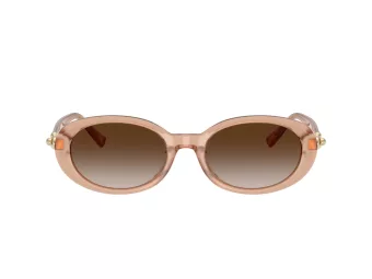 Tiffany Zonnebril TF 4242D 82683B
