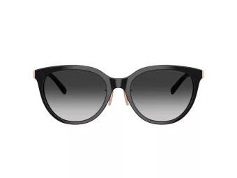 Tiffany Zonnebril TF 4243D 80013C