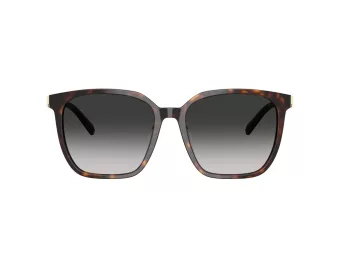 Tiffany Zonnebril TF 4244D 80153C