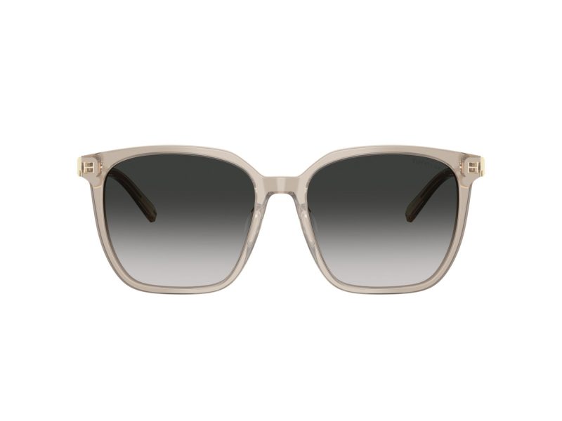 Tiffany Zonnebril TF 4244D 82503C