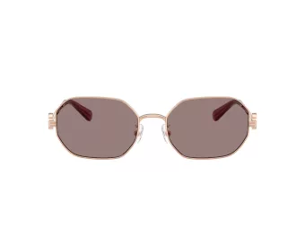 Tory Burch Zonnebril TY 6113 33587N