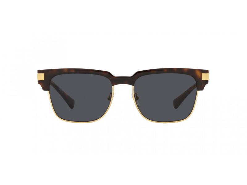 Versace Zonnebril VE 4447 108/87