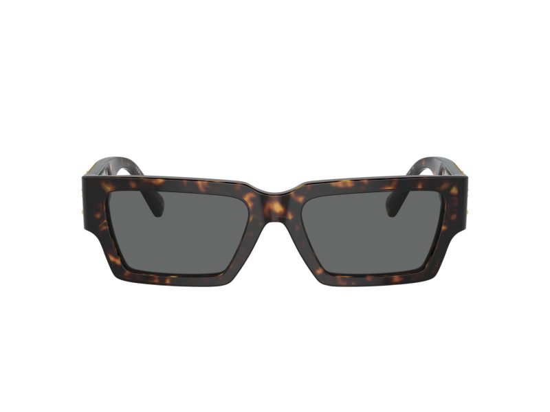 Versace Zonnebril VE 4459 108/87