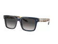 Vogue Zonnebril VO 5573S 31438G