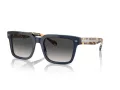 Vogue Zonnebril VO 5573S 31438G