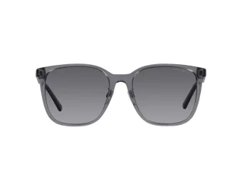 Emporio Armani Zonnebril 4206D 5029T3