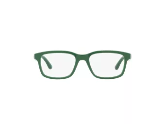 Dolce & Gabbana Kids Brillen 5097 3329