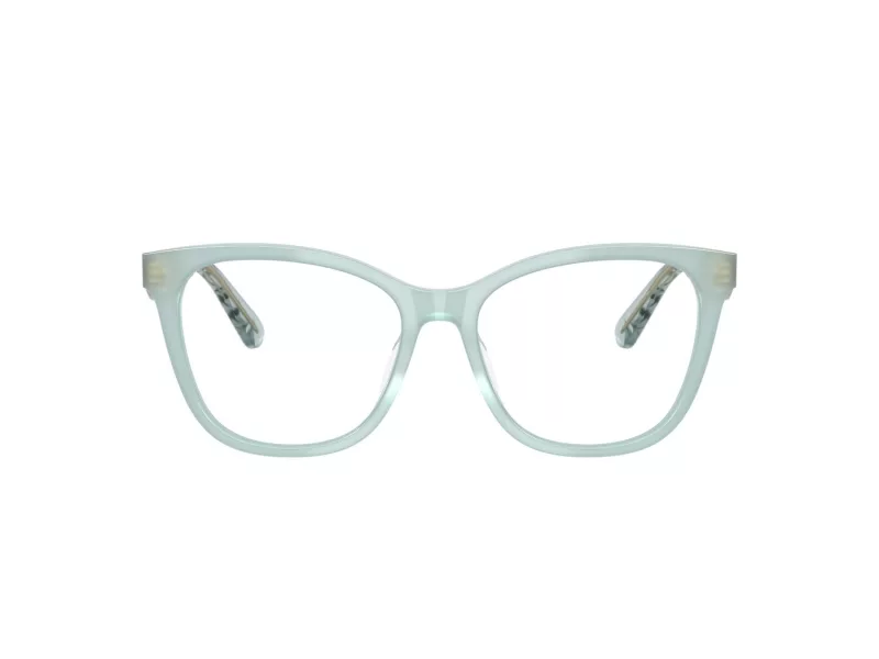 Coach Brillen 6256U 5865