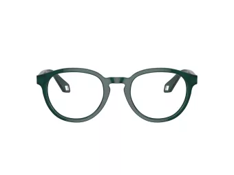 Giorgio Armani Brillen 7248 6044