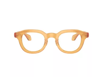 Giorgio Armani Brillen 7253 6063