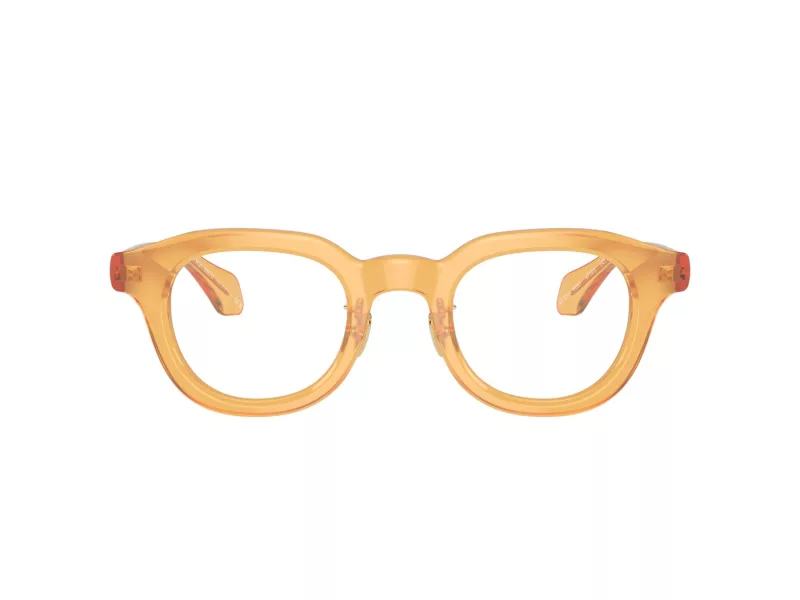 Giorgio Armani Brillen 7253 6063