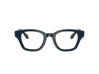 Giorgio Armani Brillen 7274 6223