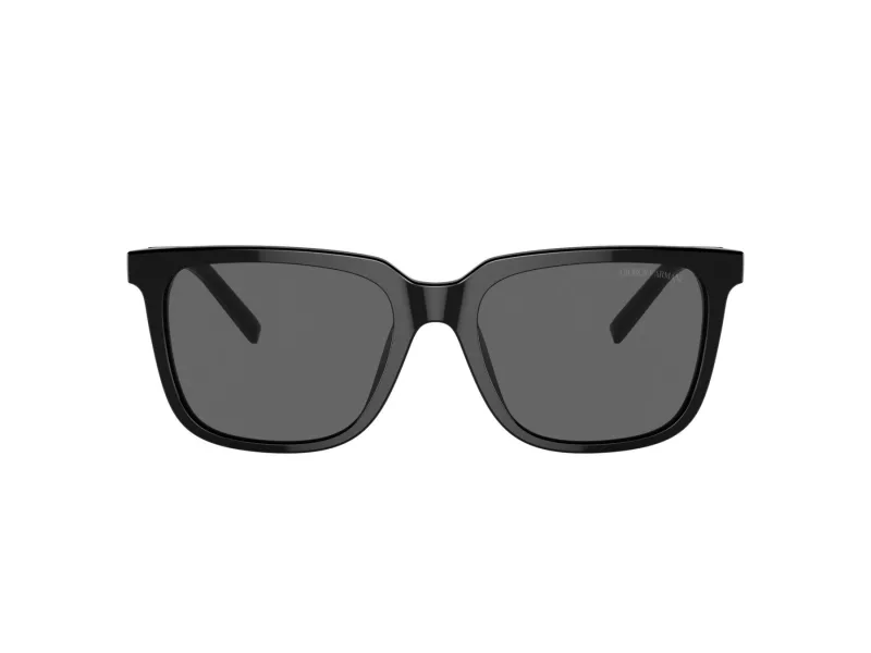 Giorgio Armani Zonnebril 8202U 587587