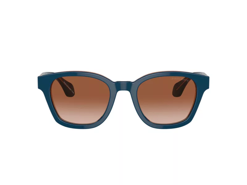 Giorgio Armani Zonnebril 8207 608513