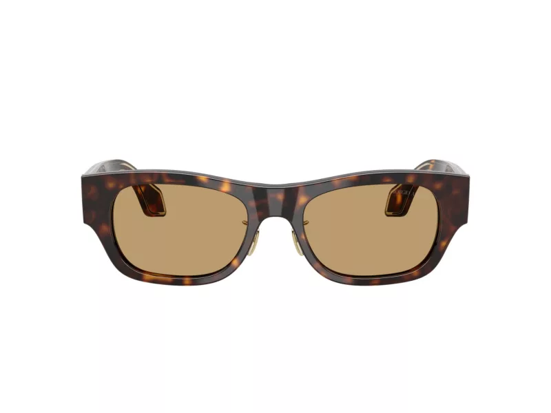 Giorgio Armani Zonnebril 8224 502673