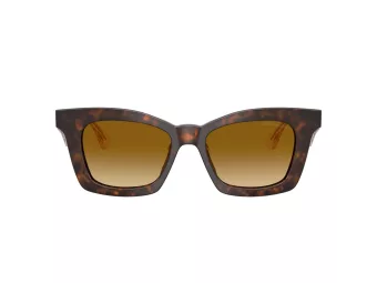 Giorgio Armani Zonnebril 8235U 62312L