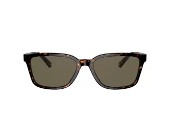 Coach C6196 Zonnebril 8328U 512003