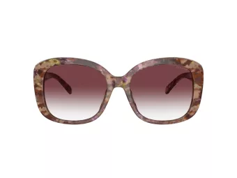 Coach Ch564 Zonnebril 8363U 57398H