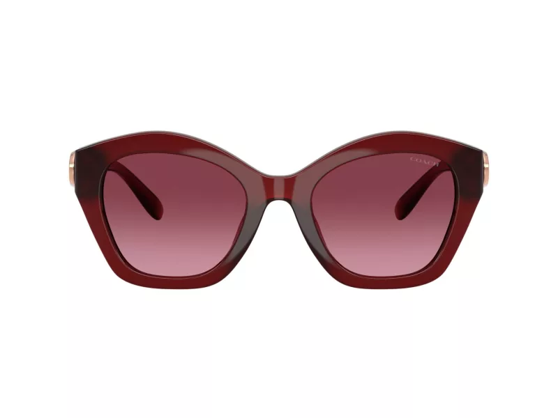 Coach Cad31 Zonnebril 8421U 58708H