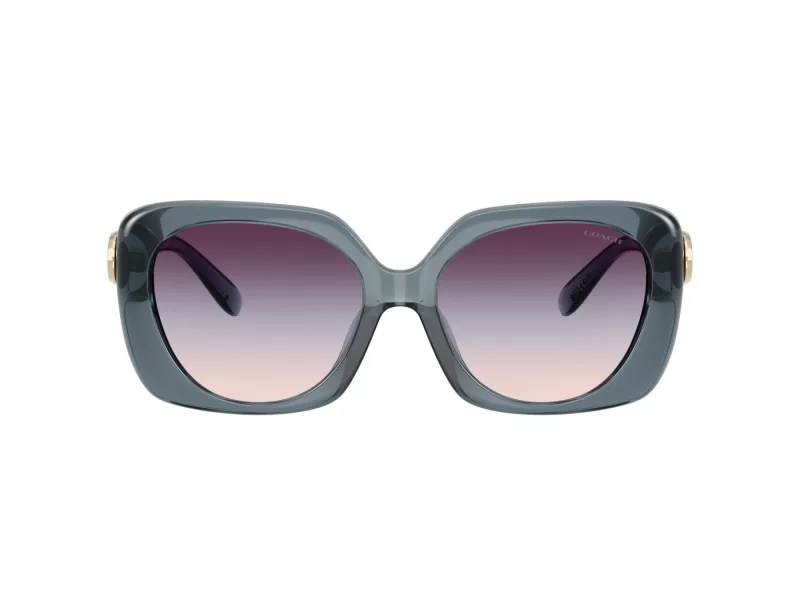 Coach Cad33 Zonnebril 8422U 5871U7